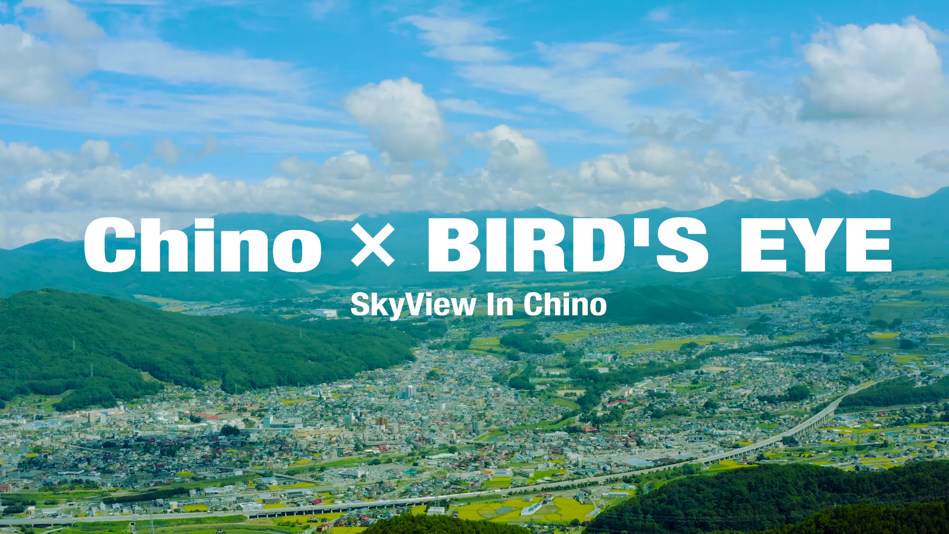 Chino ✕ BIRD'S EYE
