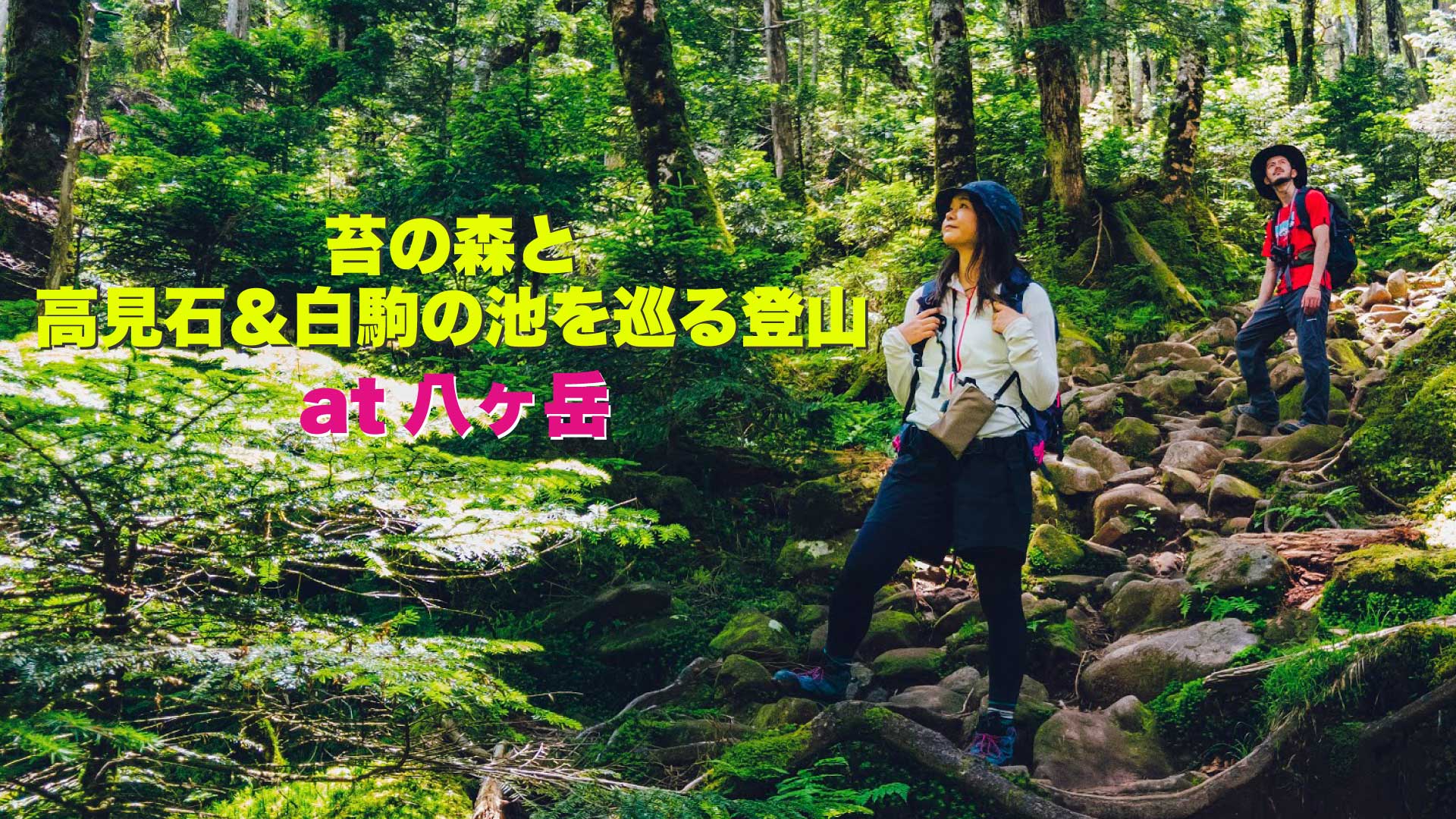 vol.005 〜苔の森と高見石＆白駒の池を巡る登山〜